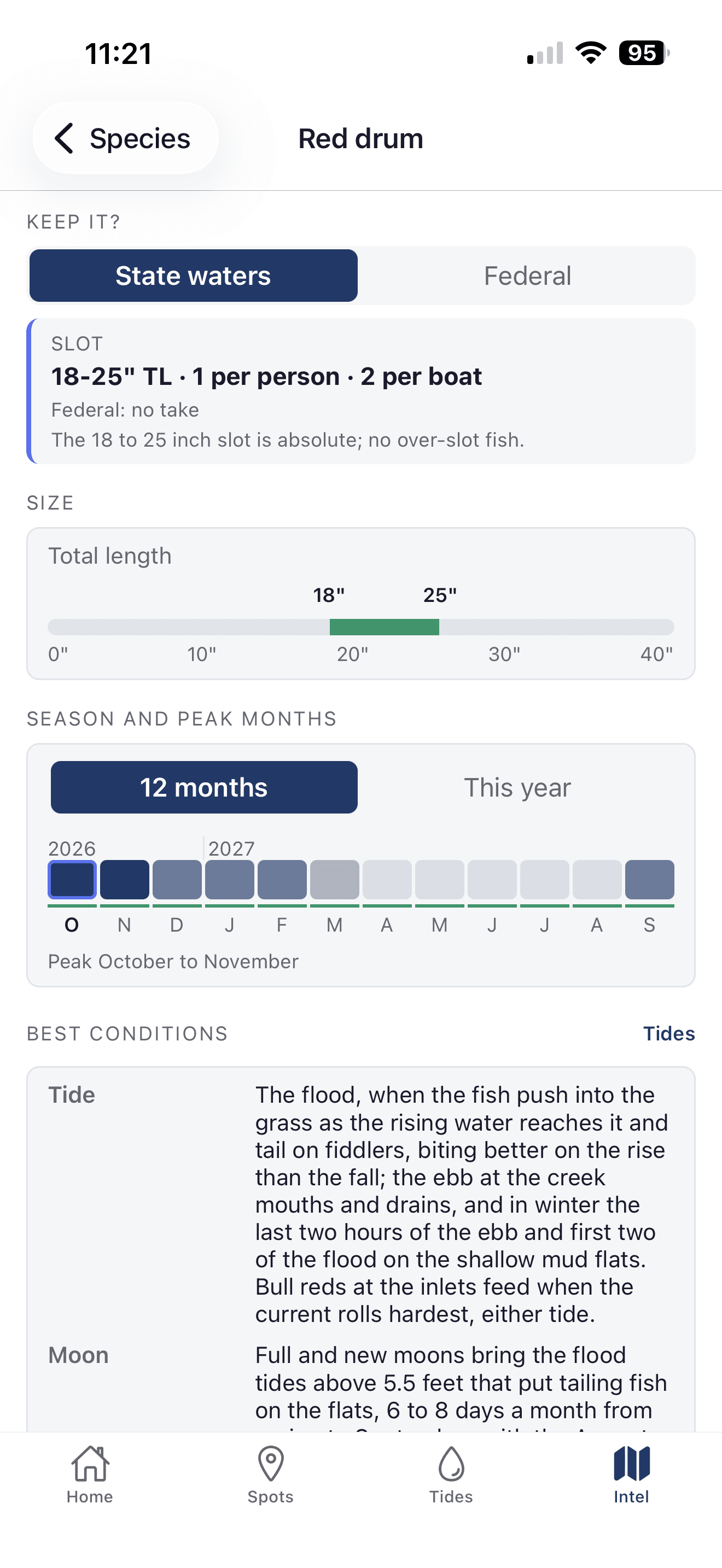 Inshore Intel species page for red drum: the state-waters slot, a size ruler, the season and peak months strip and the best conditions